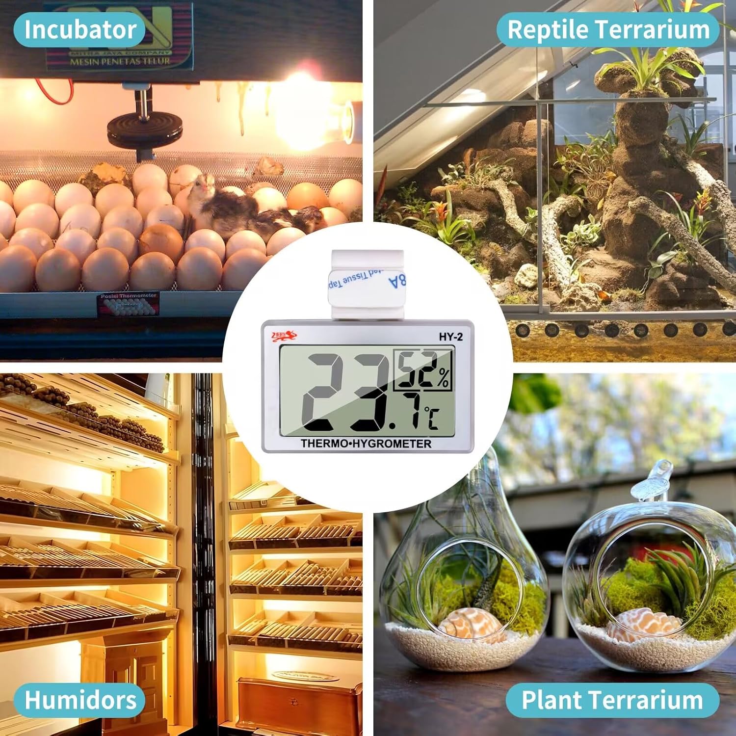 reptile tank thermometer